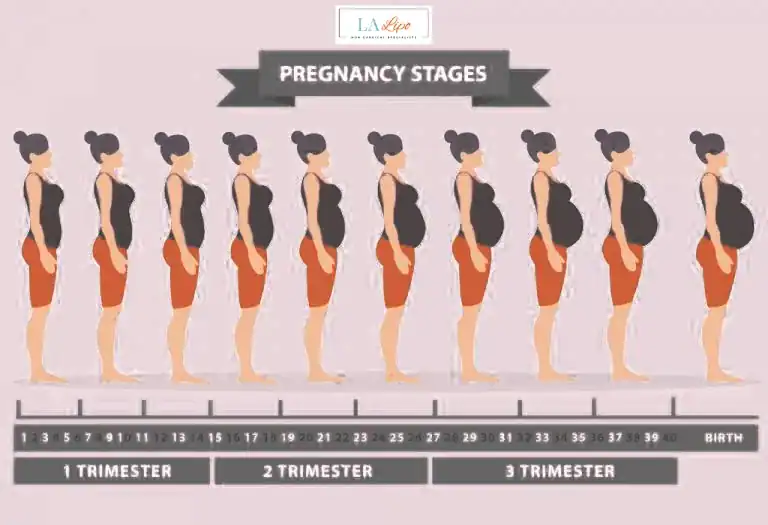 First Trimester (Weeks 1–12): Early Changes You Might Not Notice Whitley Bay
